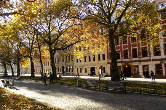 Boulevard 50 Meter entfernt